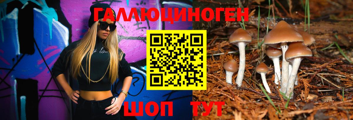 Псилоцибиновые грибы мухоморы Пугачёв
